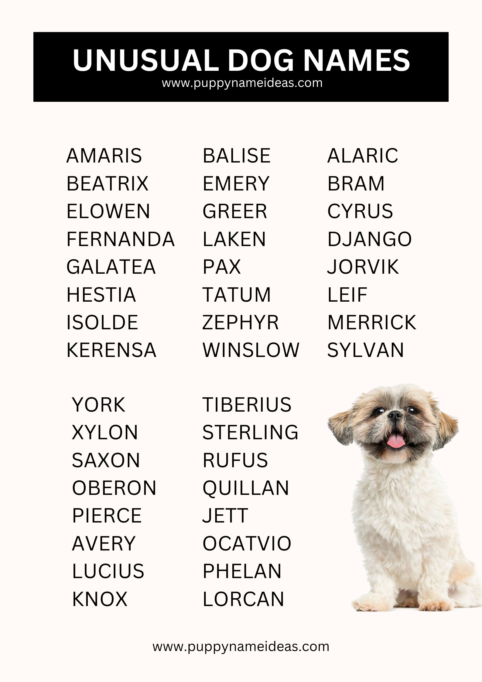 list of unusual dog names