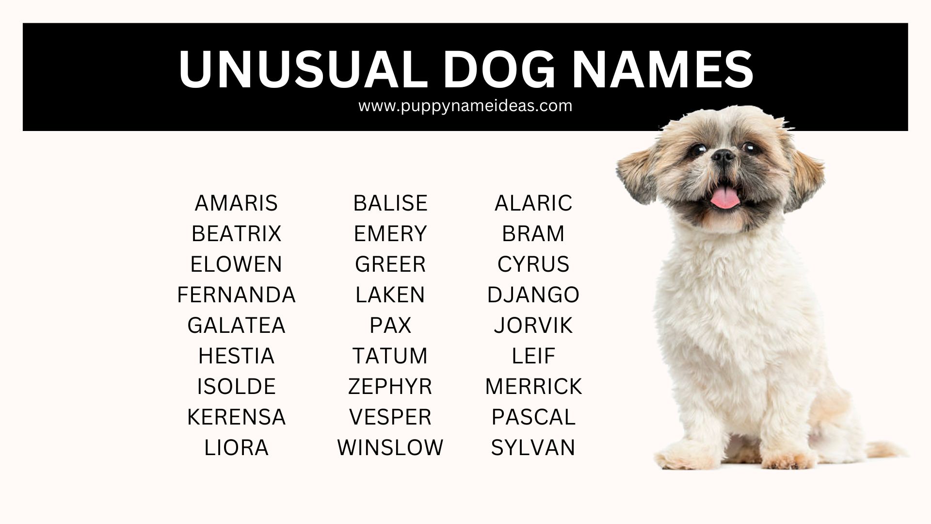list of unusual dog names