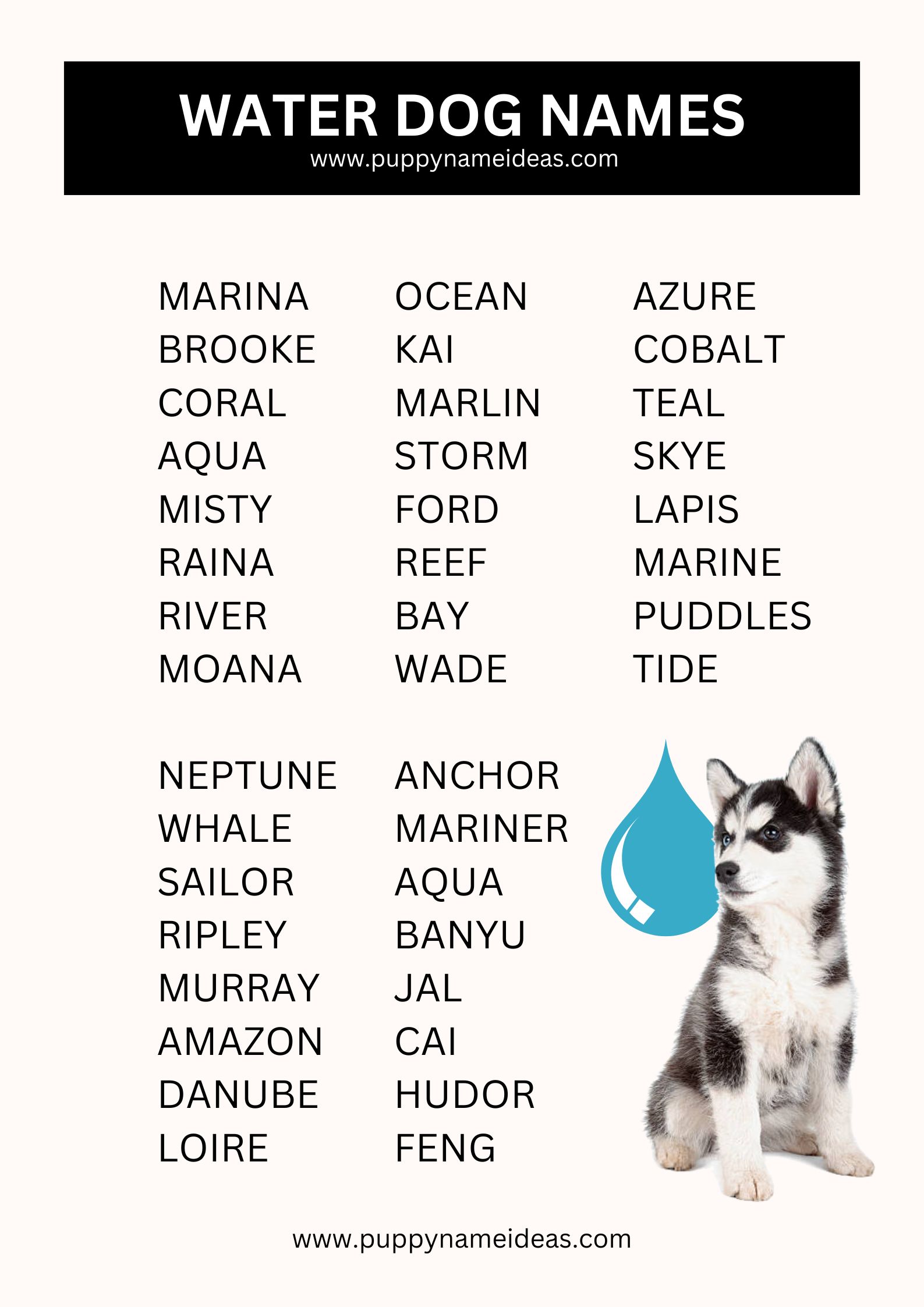 List Of Water Dog Names