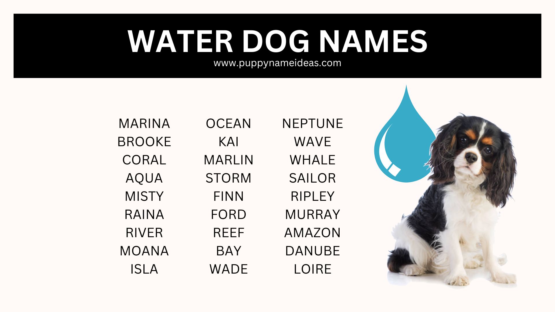 list of water dog names