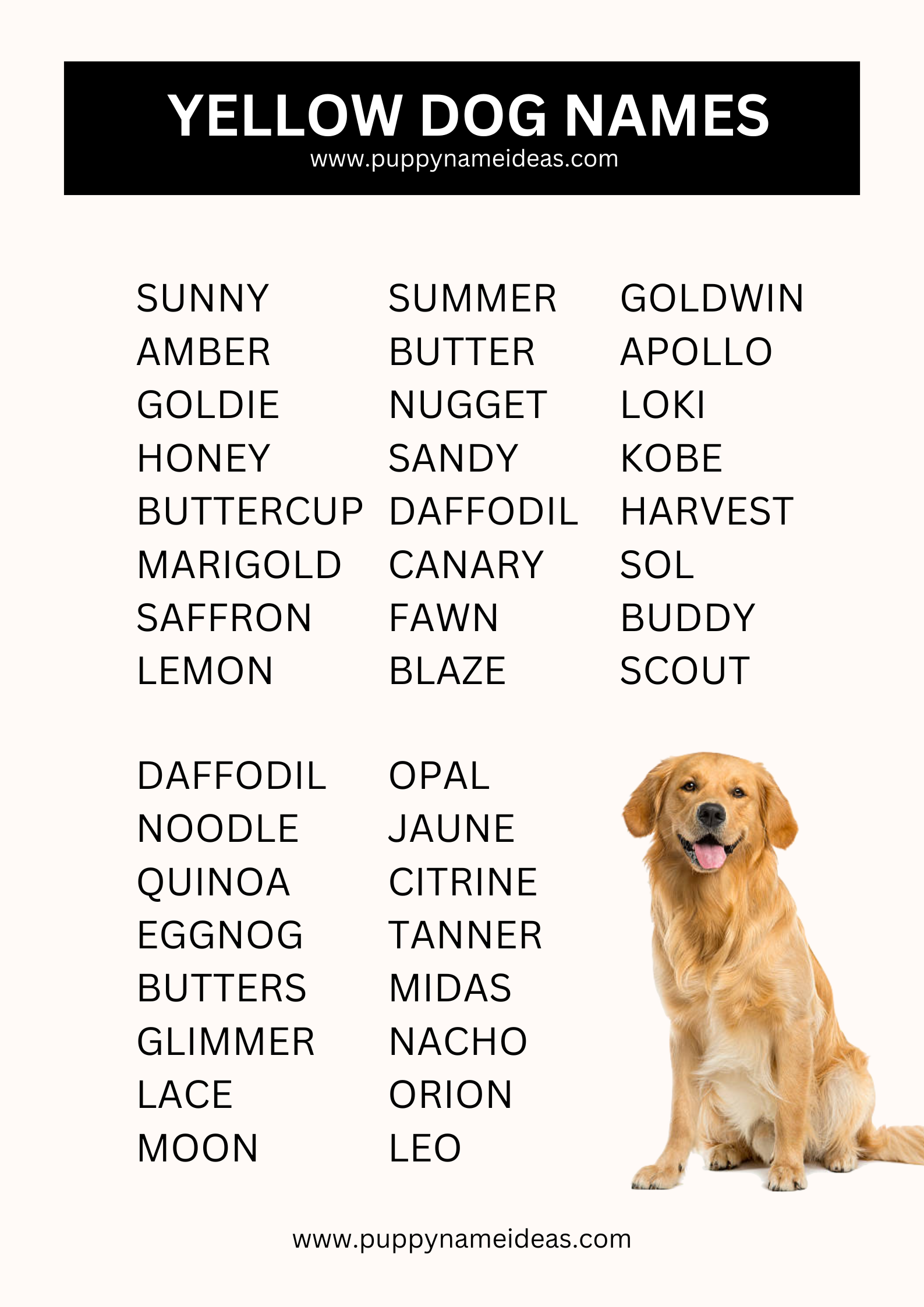 list of yellow dog names
