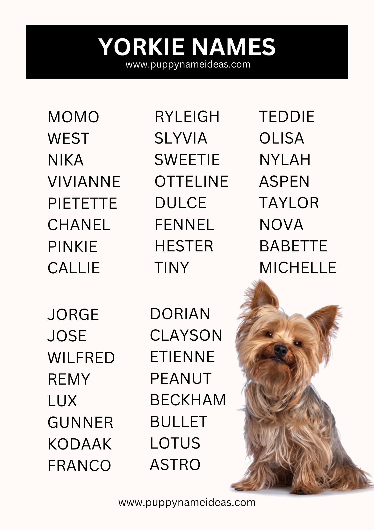 List Of Yorkie Names