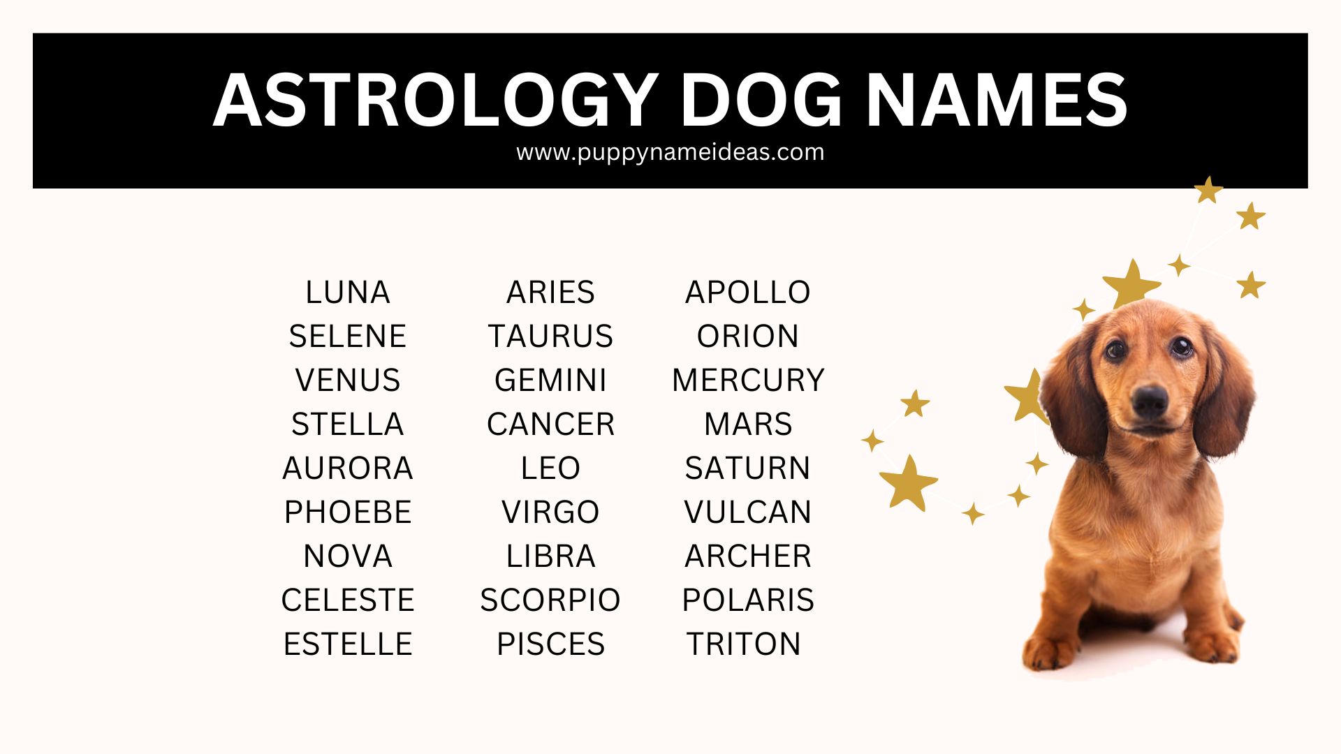 240+ Astrology Dog Names