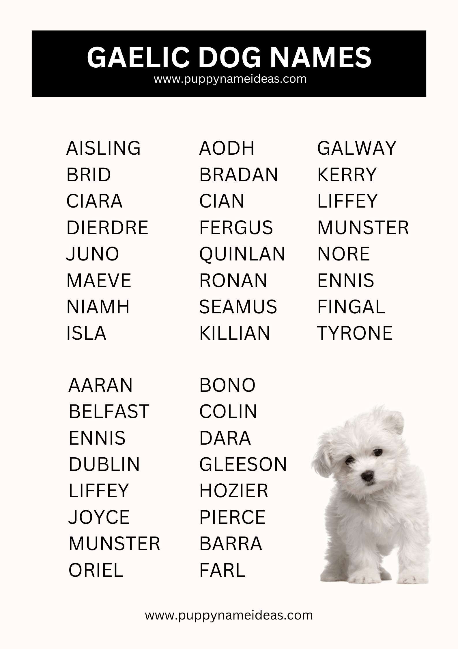 list of gaelic dog names