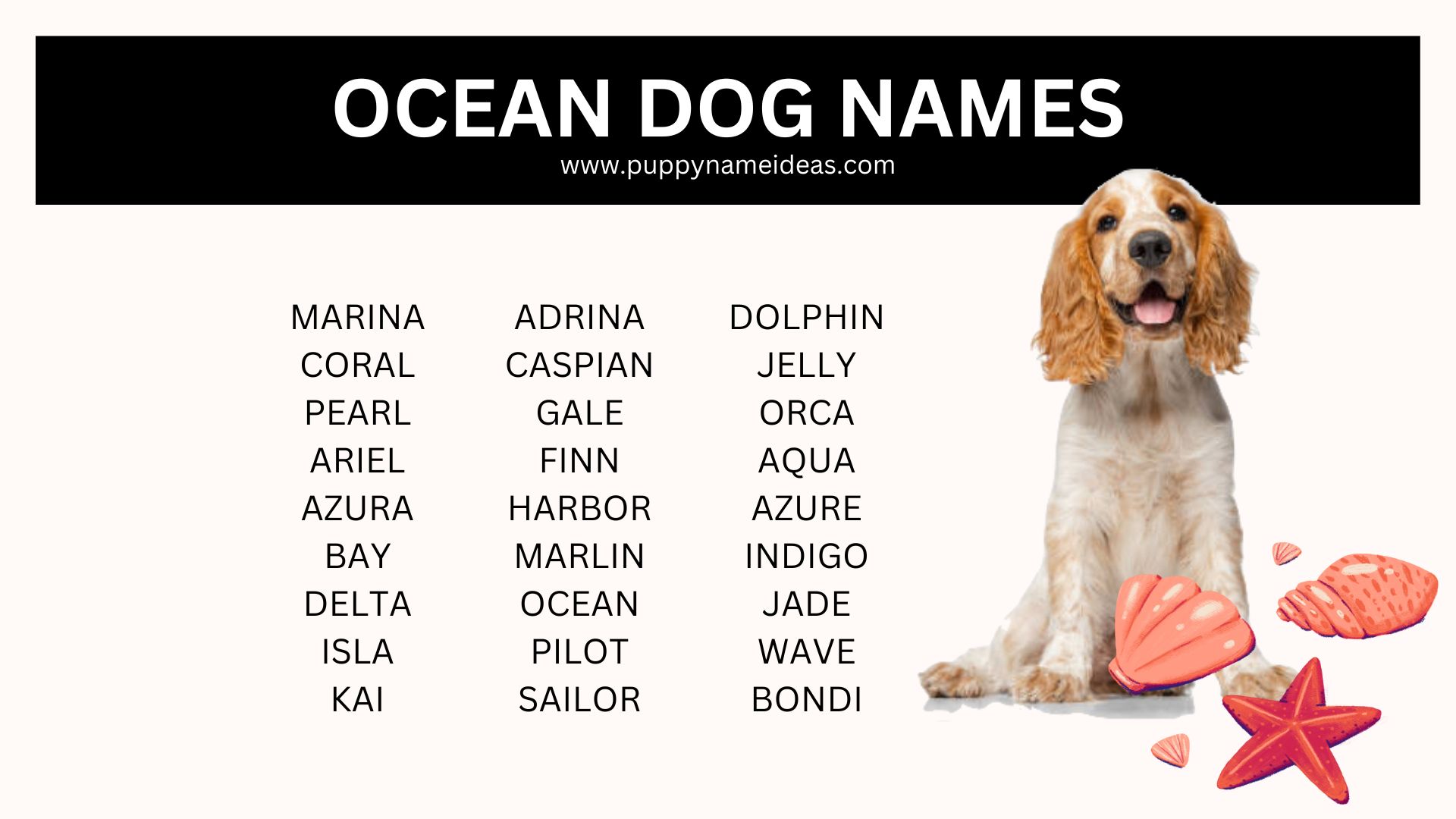 list of ocean dog names