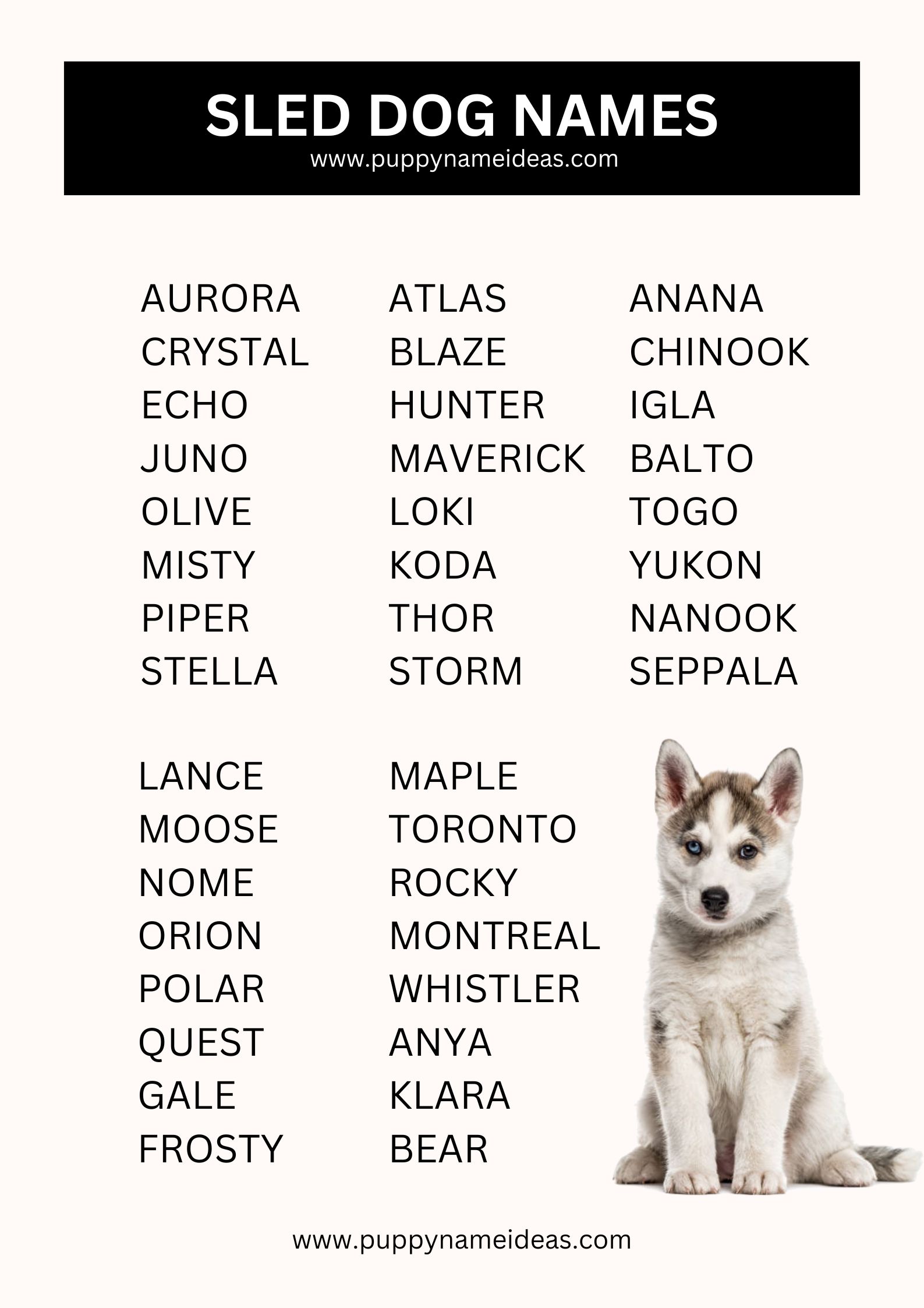 List Of Sled Dog Names