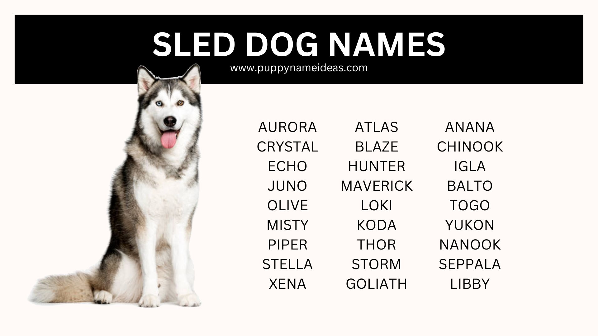 list of sled dog names